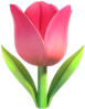 tulip emoji